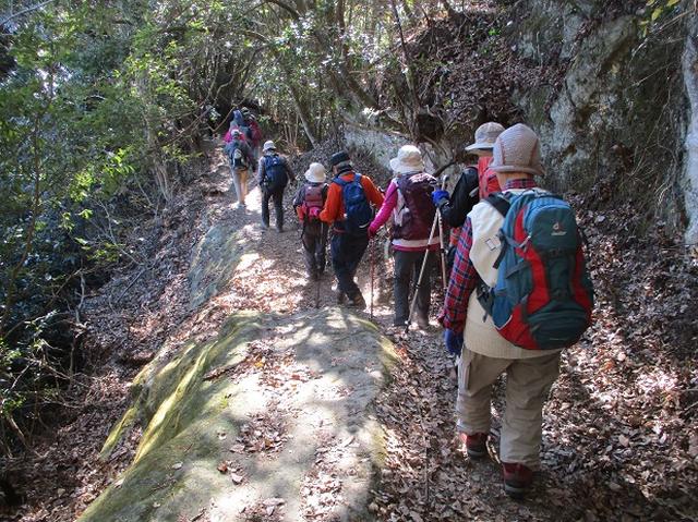 画像5: 【山旅会・登山ガイドこだわりツアー】岡田ガイドからの便り・高宕山ツアーにいってまいりました!