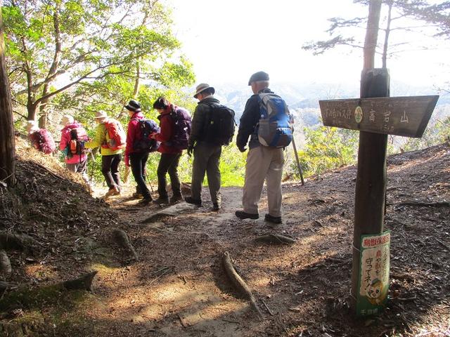 画像13: 【山旅会・登山ガイドこだわりツアー】岡田ガイドからの便り・高宕山ツアーにいってまいりました!