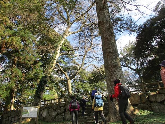 画像9: 【山旅会・登山ガイドこだわりツアー】添乗員からの便り・広島県と山口県のツアーにいってまいりました!(その4)