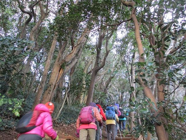 画像6: 【山旅会・登山ガイドこだわりツアー】添乗員からの便り・広島県と山口県のツアーにいってまいりました!(その3)