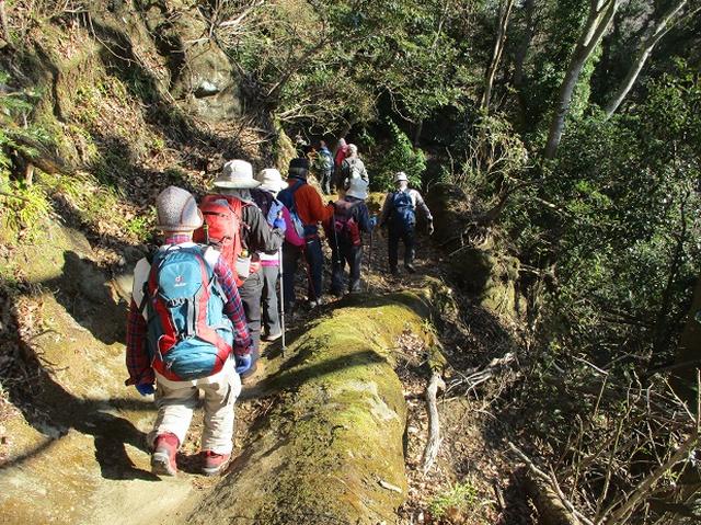 画像4: 【山旅会・登山ガイドこだわりツアー】岡田ガイドからの便り・高宕山ツアーにいってまいりました!