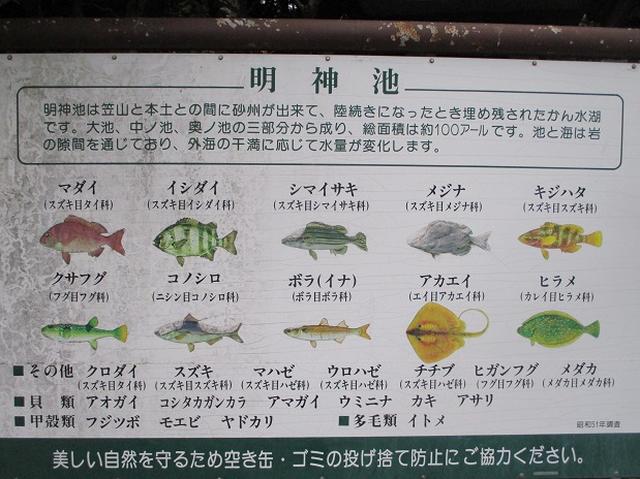 画像3: 【山旅会・登山ガイドこだわりツアー】添乗員からの便り・広島県と山口県のツアーにいってまいりました!(その3)