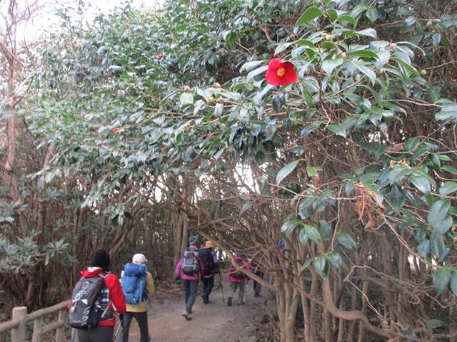 画像10: 【山旅会・登山ガイドこだわりツアー】添乗員からの便り・広島県と山口県のツアーにいってまいりました!(その3)