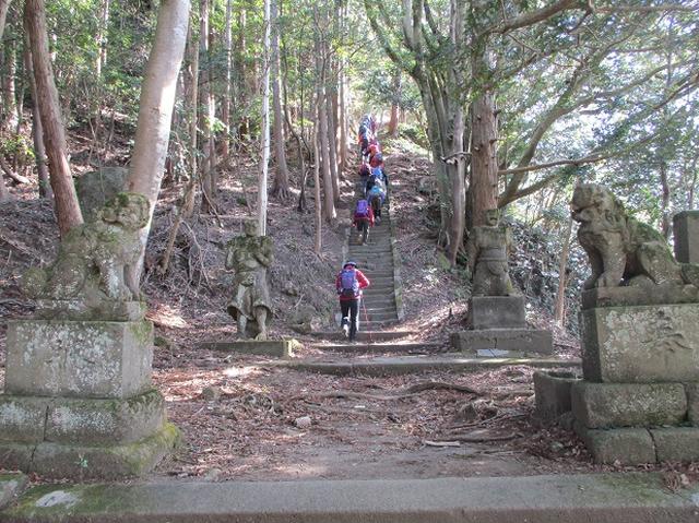 画像6: 【山旅会・登山ガイドこだわりツアー】岡田ガイドからの便り・高宕山ツアーにいってまいりました!