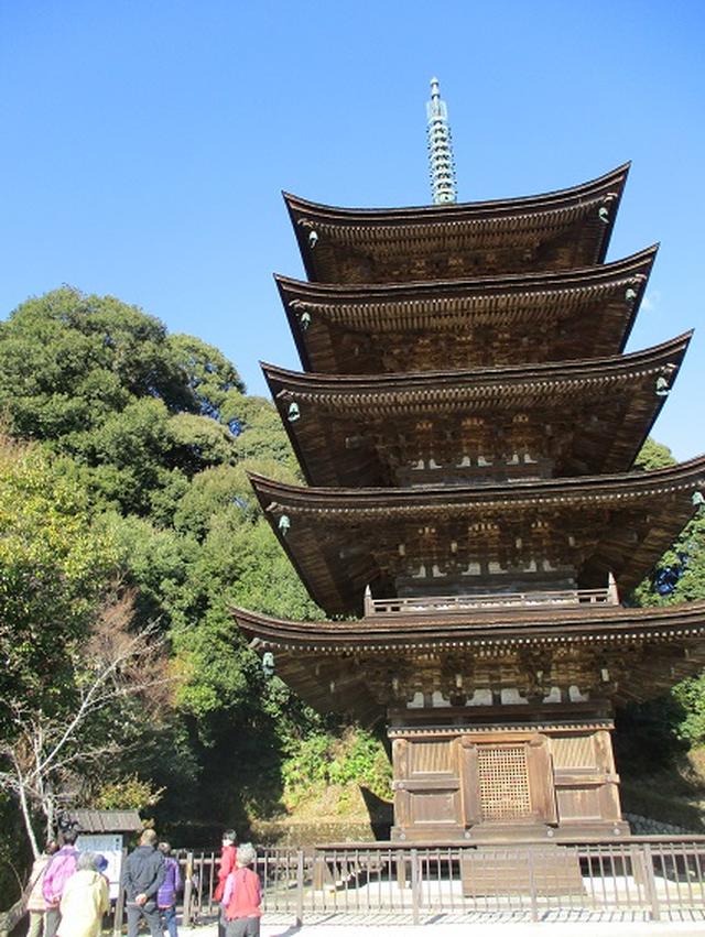 画像12: 【山旅会・登山ガイドこだわりツアー】添乗員からの便り・広島県と山口県のツアーにいってまいりました!(その4)