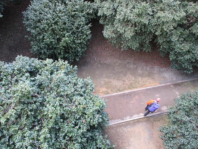 画像12: 【山旅会・登山ガイドこだわりツアー】添乗員からの便り・広島県と山口県のツアーにいってまいりました!(その3)
