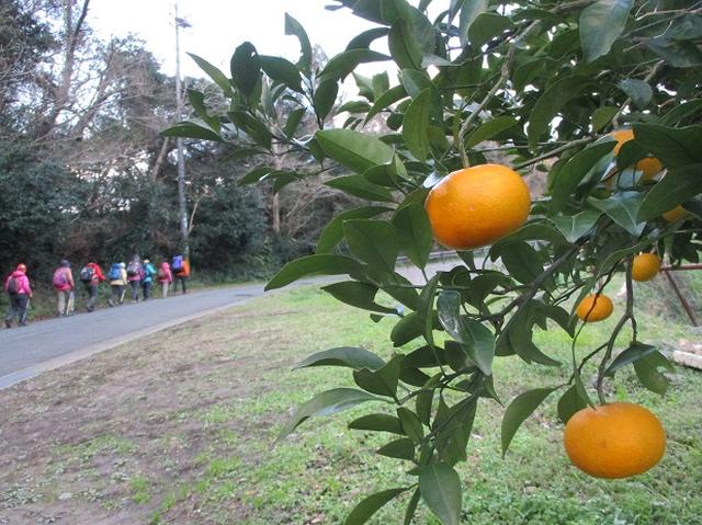 画像5: 【山旅会・登山ガイドこだわりツアー】添乗員からの便り・広島県と山口県のツアーにいってまいりました!(その3)