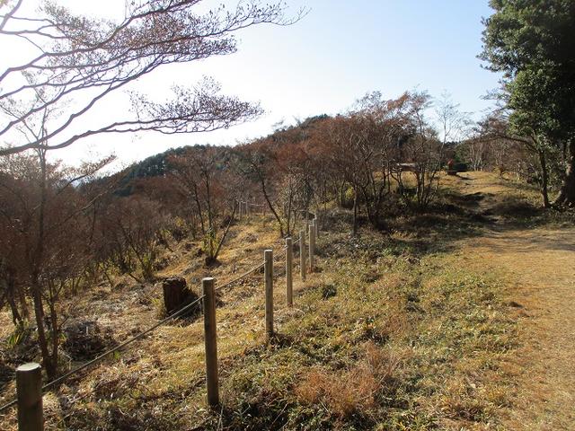 画像13: 【山旅会・登山ガイドこだわりツアー】岡田ガイドからの便り・千葉山ツアーの下見にいってまいりました!