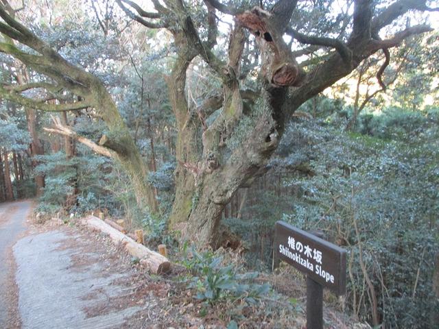 画像4: 【山旅会・登山ガイドこだわりツアー】岡田ガイドからの便り・千葉山ツアーの下見にいってまいりました!