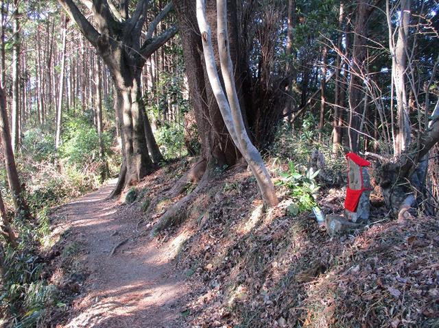 画像12: 【山旅会・登山ガイドこだわりツアー】岡田ガイドからの便り・千葉山ツアーの下見にいってまいりました!