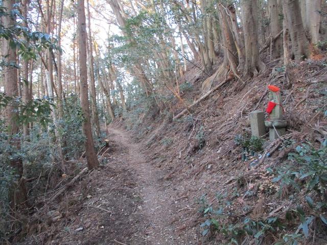 画像2: 【山旅会・登山ガイドこだわりツアー】岡田ガイドからの便り・千葉山ツアーの下見にいってまいりました!