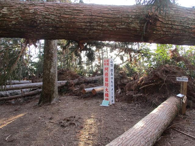 画像8: 【山旅会・登山ガイドこだわりツアー】岡田ガイドからの便り・千葉山ツアーの下見にいってまいりました!