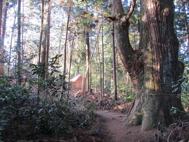 画像9: 【山旅会・登山ガイドこだわりツアー】岡田ガイドからの便り・千葉山ツアーの下見にいってまいりました!