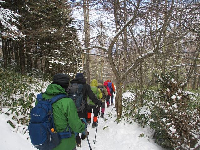 画像8: 【山旅会・登山ガイドこだわりツアー】岡田ガイドからの便り・入笠山ツアーにいってまいりました!