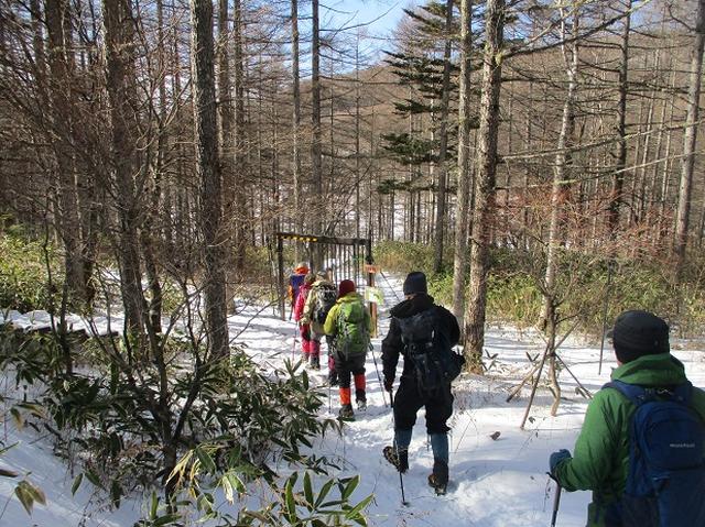 画像2: 【山旅会・登山ガイドこだわりツアー】岡田ガイドからの便り・入笠山ツアーにいってまいりました!