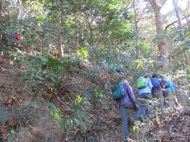 画像6: 【山旅会・登山ガイドこだわりツアー】岡田ガイドからの便り・阿部倉山から二子山ツアーにいってまいりました!