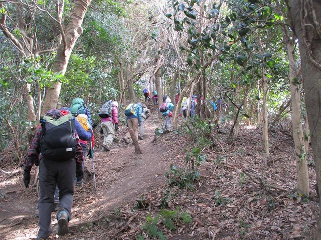 画像9: 【山旅会・登山ガイドこだわりツアー】岡田ガイドからの便り・阿部倉山から二子山ツアーにいってまいりました!