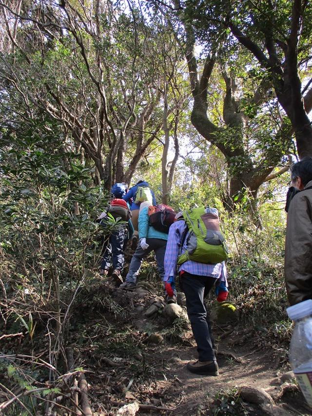 画像8: 【山旅会・登山ガイドこだわりツアー】岡田ガイドからの便り・阿部倉山から二子山ツアーにいってまいりました!