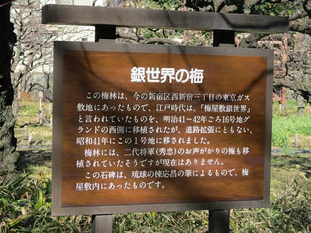 画像8: 【山旅会・登山ガイドこだわりツアー】岡田ガイドからの便り・都内の山ウォーキングの下見にいってまいりました!