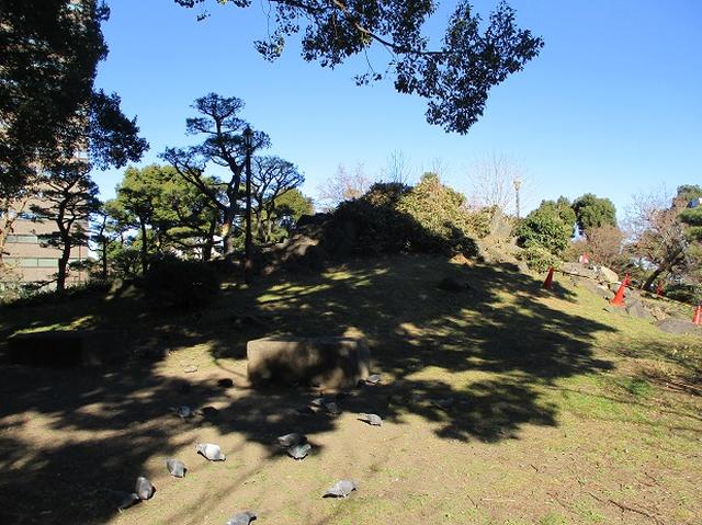 画像1: 【山旅会・登山ガイドこだわりツアー】岡田ガイドからの便り・都内の山ウォーキングの下見にいってまいりました!