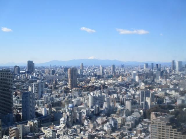画像5: 【山旅会・登山ガイドこだわりツアー】岡田ガイドからの便り・都内の山ウォーキングの下見にいってまいりました!