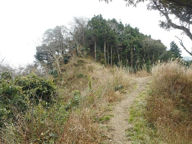 画像5: 【山旅会・登山ガイドこだわりツアー】岡田ガイドからの便り・三浦半島中尾根から乳頭山の下見にいってまいりました!