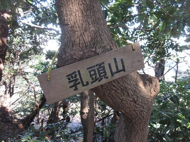 画像6: 【山旅会・登山ガイドこだわりツアー】岡田ガイドからの便り・三浦半島中尾根から乳頭山の下見にいってまいりました!