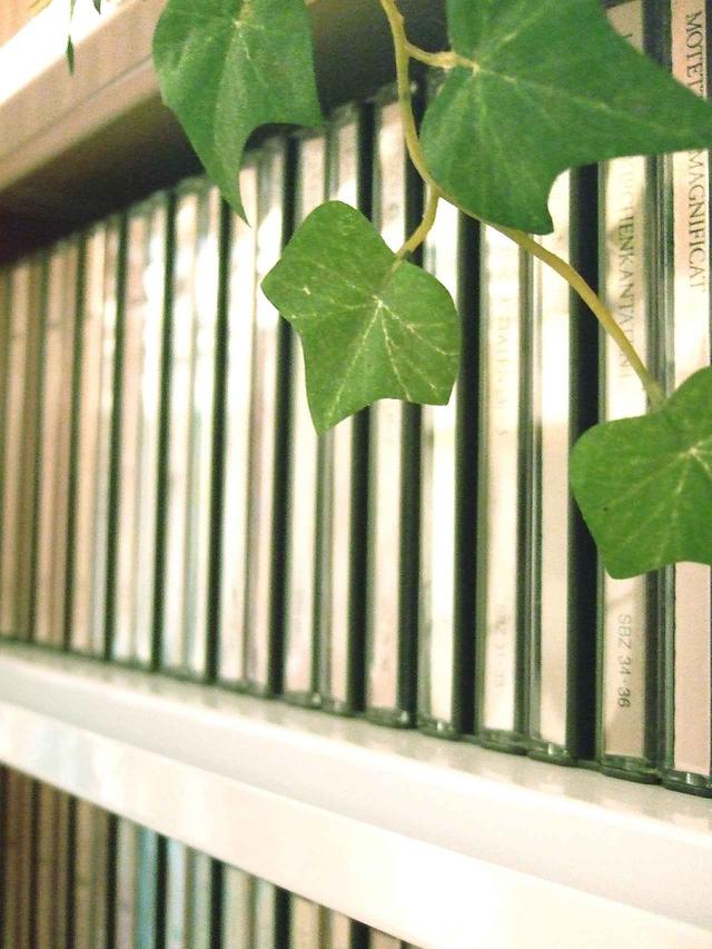 画像: CDがずらっと棚に並んでいると、ワクワクします♪