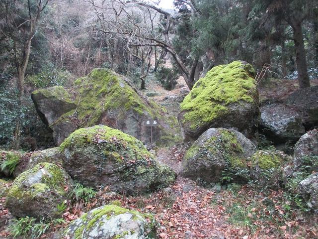 画像10: 【山旅会・登山ガイドこだわりツアー】岡田ガイドからの便り・石谷山(びく石)ツアーの下見にいってまいりました