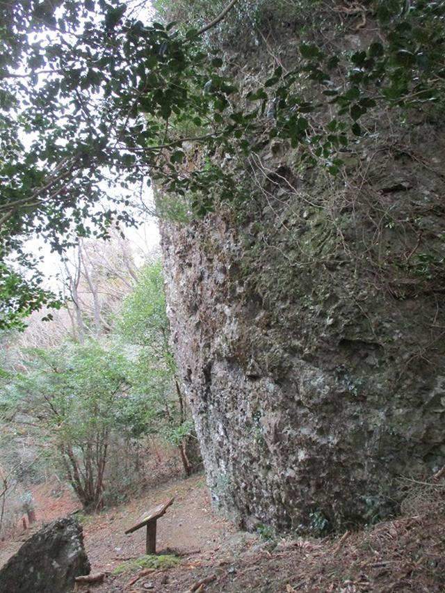画像5: 【山旅会・登山ガイドこだわりツアー】岡田ガイドからの便り・石谷山(びく石)ツアーの下見にいってまいりました