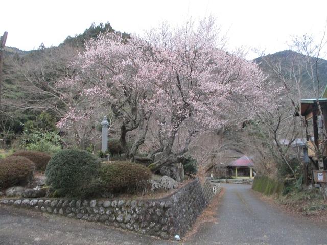 画像1: 【山旅会・登山ガイドこだわりツアー】岡田ガイドからの便り・石谷山(びく石)ツアーの下見にいってまいりました