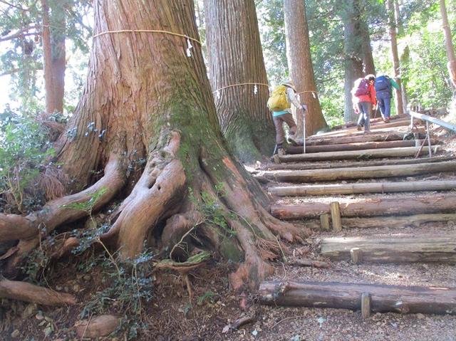 画像5: 2月1日に山旅会のツアーで 千葉山 にいってまいりました!