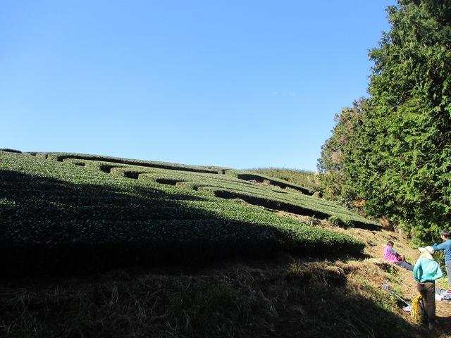 画像3: 2月1日に山旅会のツアーで 千葉山 にいってまいりました!