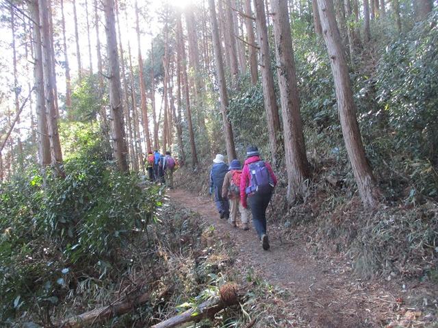 画像10: 2月1日に山旅会のツアーで 千葉山 にいってまいりました!
