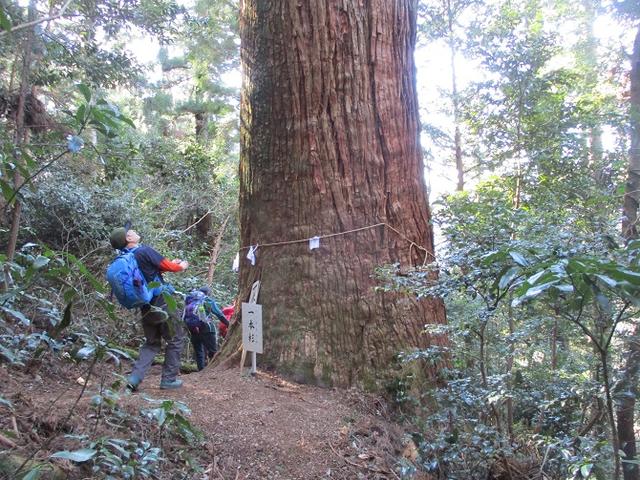 画像7: 2月1日に山旅会のツアーで 千葉山 にいってまいりました!