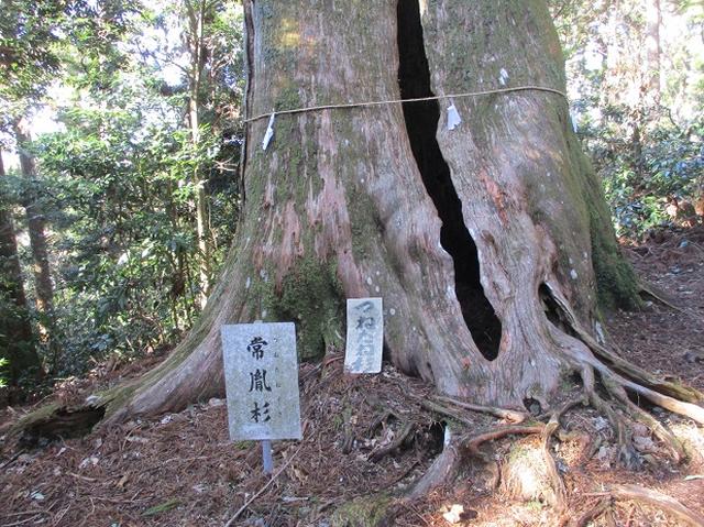 画像8: 2月1日に山旅会のツアーで 千葉山 にいってまいりました!