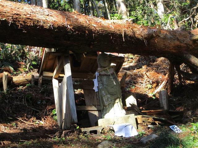 画像6: 2月1日に山旅会のツアーで 千葉山 にいってまいりました!