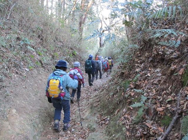 画像9: 2月2日、山旅会のツアーで 森戸川林道から二子山 にいってまいりました!