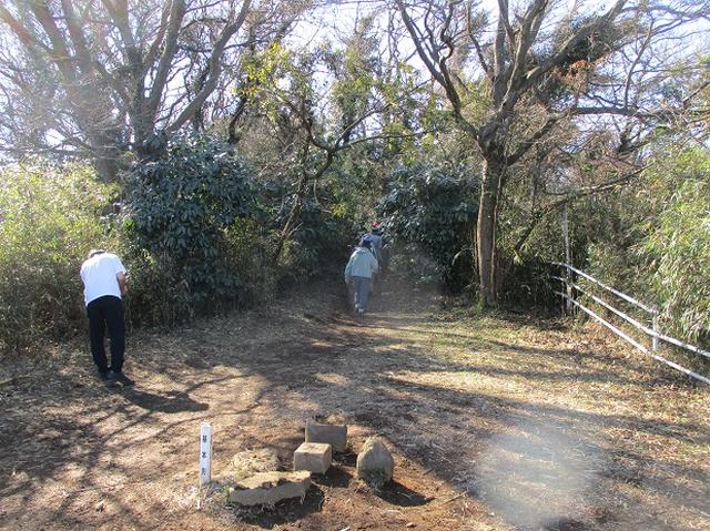 画像5: 2月2日、山旅会のツアーで 森戸川林道から二子山 にいってまいりました!