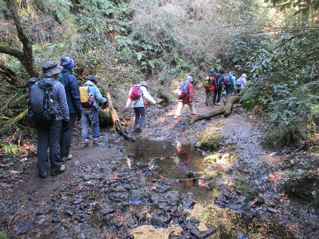 画像1: 2月2日、山旅会のツアーで 森戸川林道から二子山 にいってまいりました!
