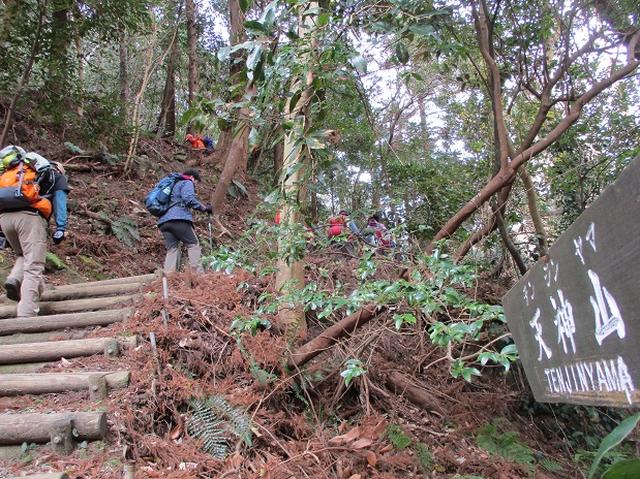 画像6: 新年山行で穂苅先生&岡田ガイドと千葉の 天神山と沖ノ島 へ♪
