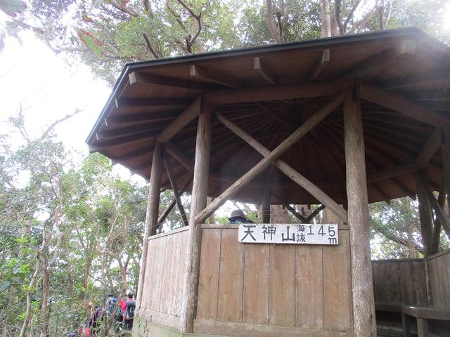 画像7: 新年山行で穂苅先生&岡田ガイドと千葉の 天神山と沖ノ島 へ♪