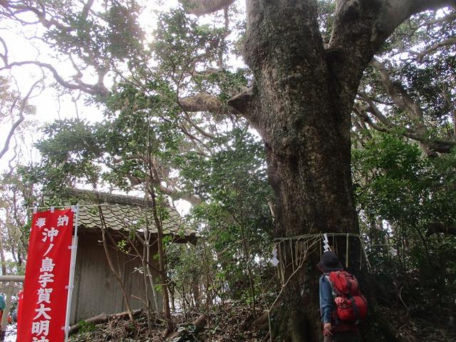 画像12: 新年山行で穂苅先生&岡田ガイドと千葉の 天神山と沖ノ島 へ♪