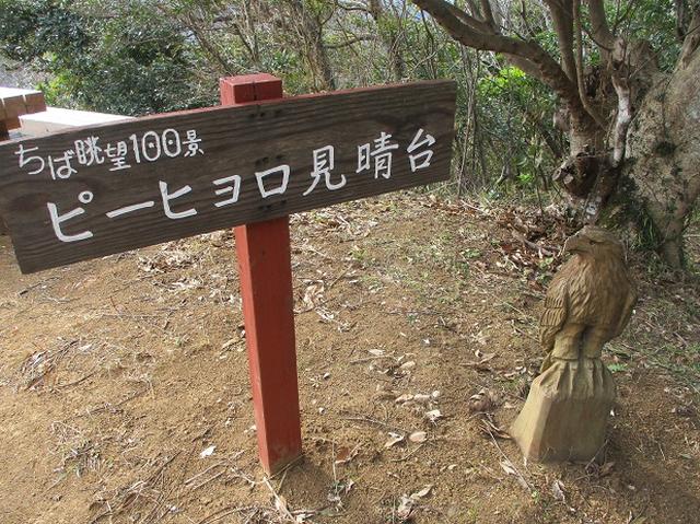 画像5: 新年山行で穂苅先生&岡田ガイドと千葉の 天神山と沖ノ島 へ♪
