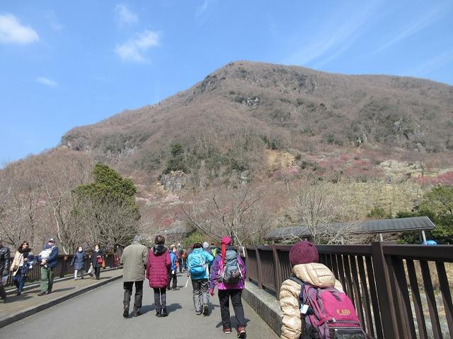 画像1: 山旅会ツアー3月までの催行状況のご報告です!