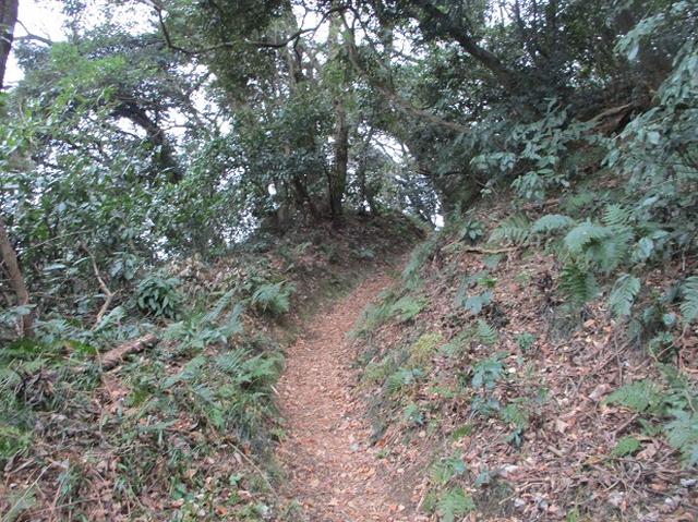 画像1: 2月16日・実施予定の山旅会 乳頭山から畠山 ツアーの下見へ!