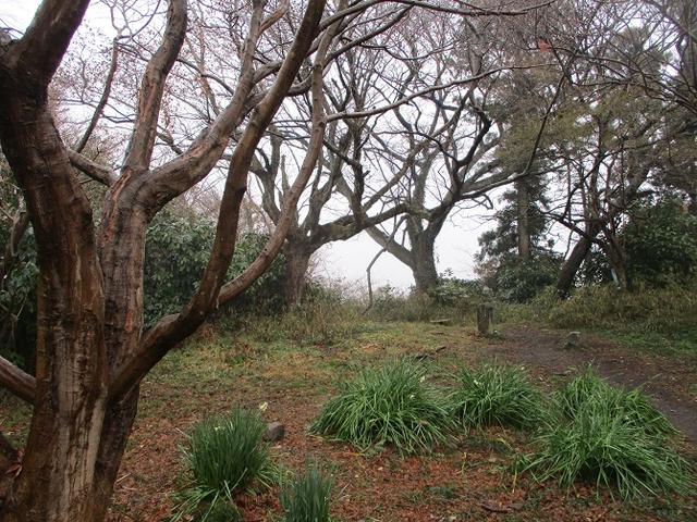 画像9: 2月16日・実施予定の山旅会 乳頭山から畠山 ツアーの下見へ!