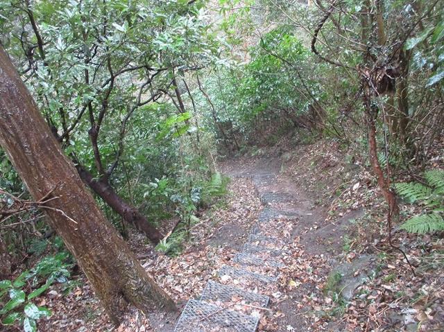 画像11: 2月16日・実施予定の山旅会 乳頭山から畠山 ツアーの下見へ!