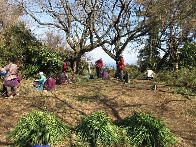 画像10: 2月16日・実施予定の山旅会 乳頭山から畠山 ツアーの下見へ!