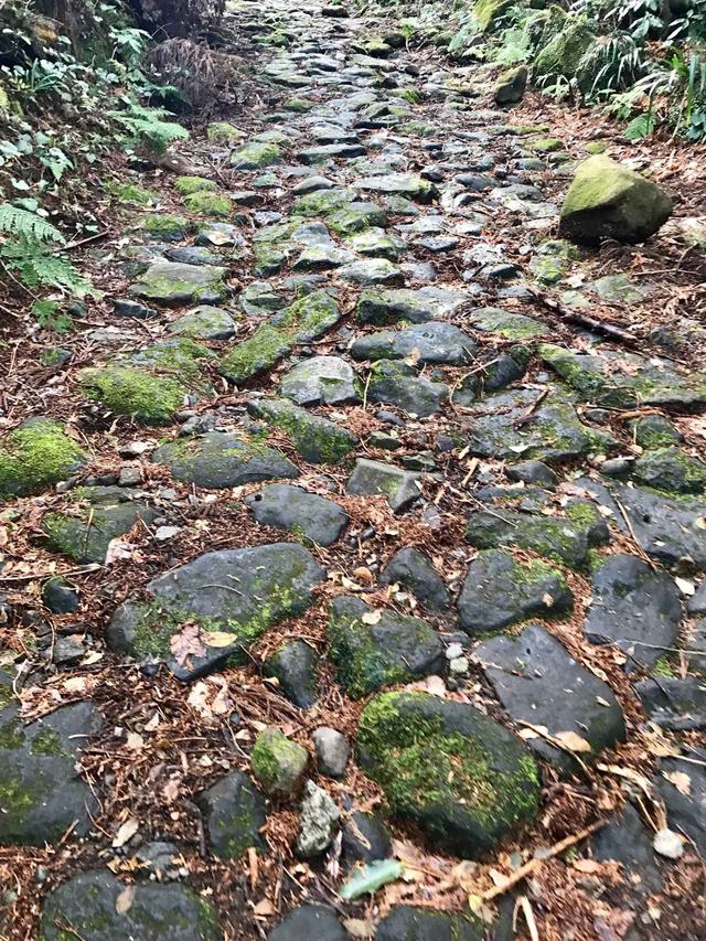 画像: 続く石畳
